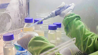 Standar Tanpa Kompromi